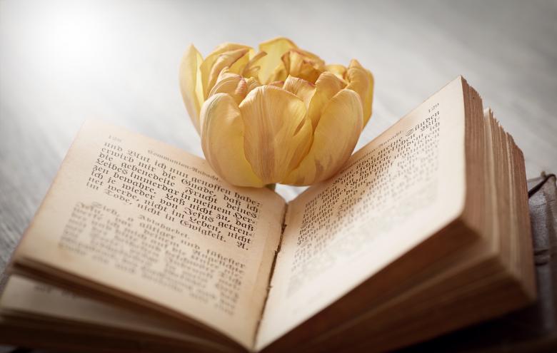 Free stock image of Book created by Pixabay