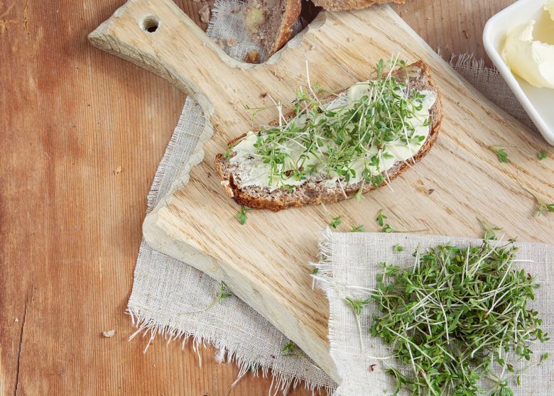 Free stock image of Food created by Pixabay