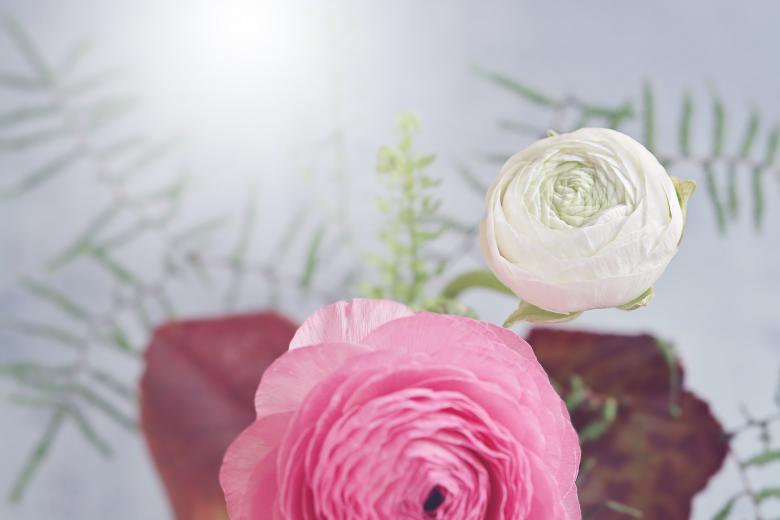 Free stock image of Nature created by Pixabay