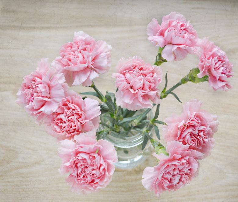 Free stock image of Nature created by Pixabay