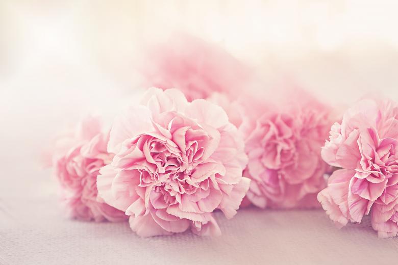 Free stock image of Nature created by Pixabay