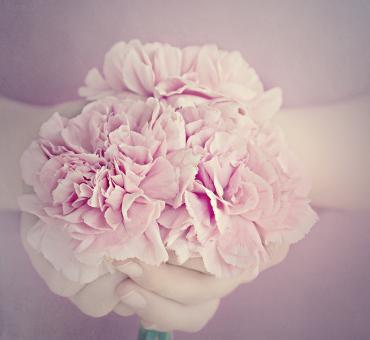 Free Stock Photo of Fragrance