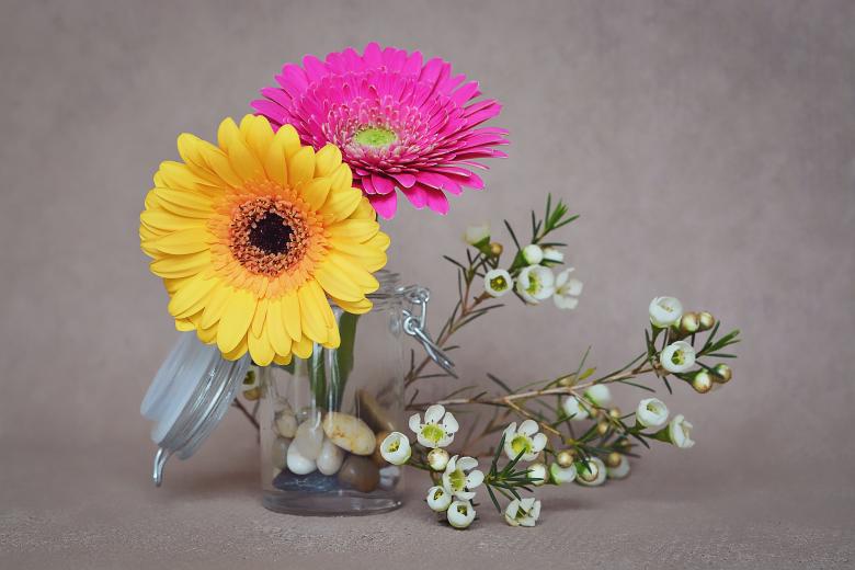 Free stock image of Fresh created by Pixabay