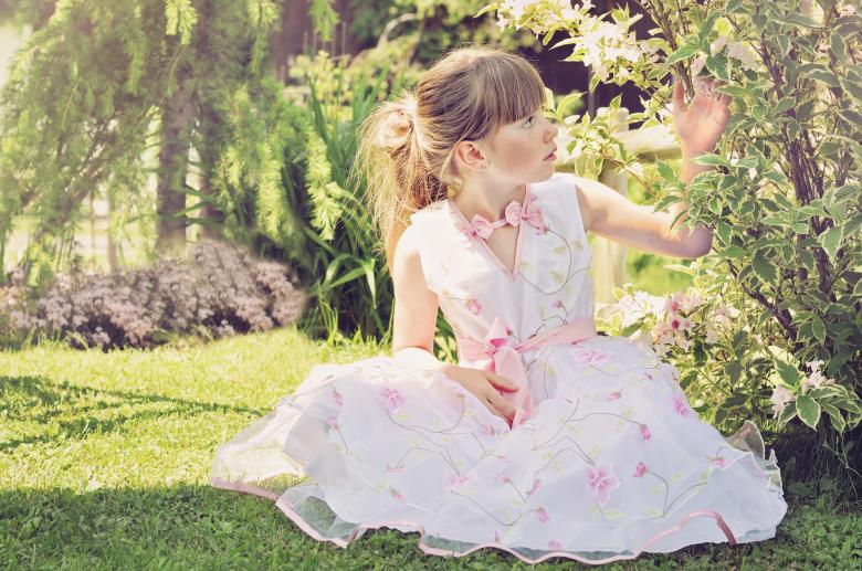 Free stock image of Princess created by Pixabay