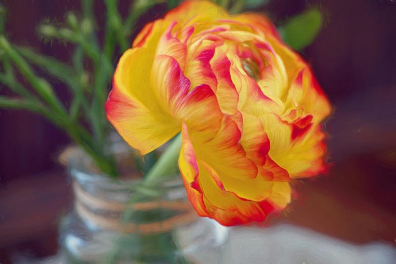 Free stock image of Flower created by Pixabay