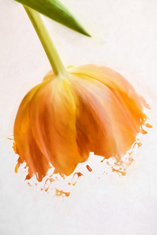 Free stock image of Painting created by Pixabay