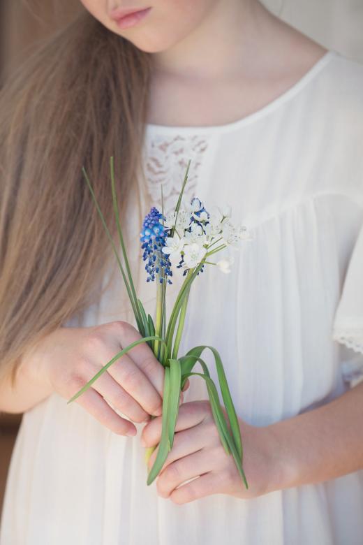 Free stock image of Beauty created by Pixabay
