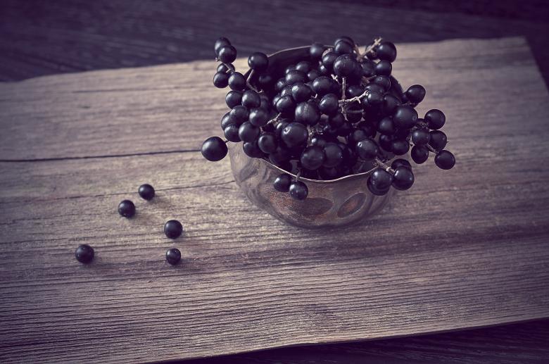 Free stock image of Privet created by Pixabay