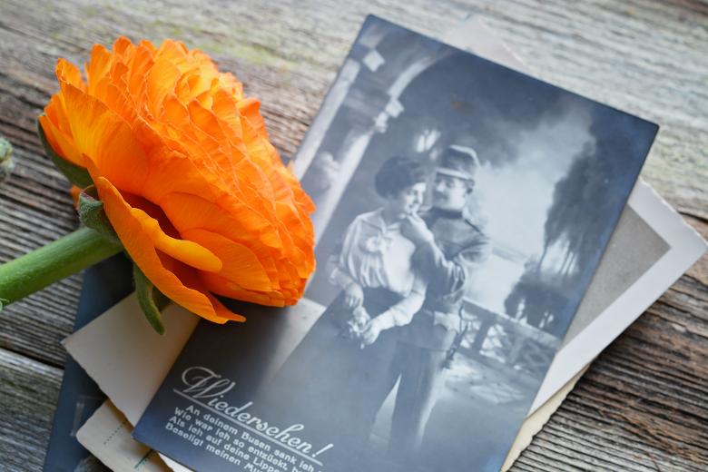 Free stock image of Flower and vintage picture created by Pixabay