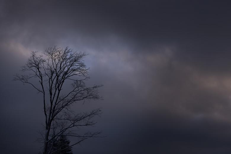 Free stock image of Dark created by Pixabay