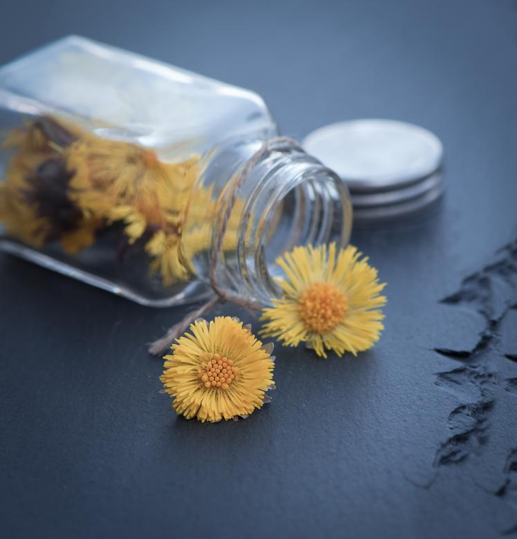Free stock image of Fragrance created by Pixabay