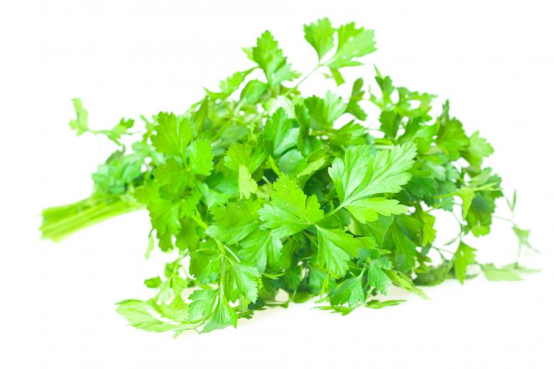 Free stock image of Green Salad created by 2happy