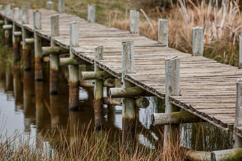 Free stock image of Broad Walk created by Pixabay