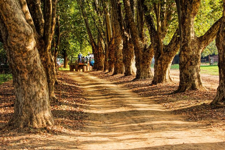 Free stock image of Country Road created by Pixabay