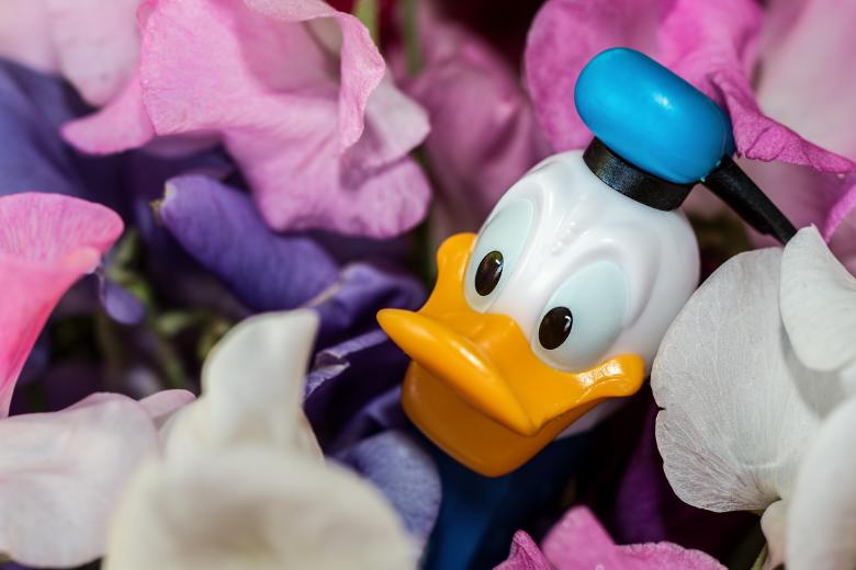 Free stock image of Donald Duck created by Pixabay