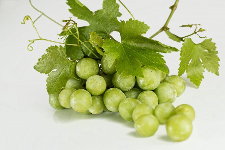 Free stock image of Grapes created by Pixabay