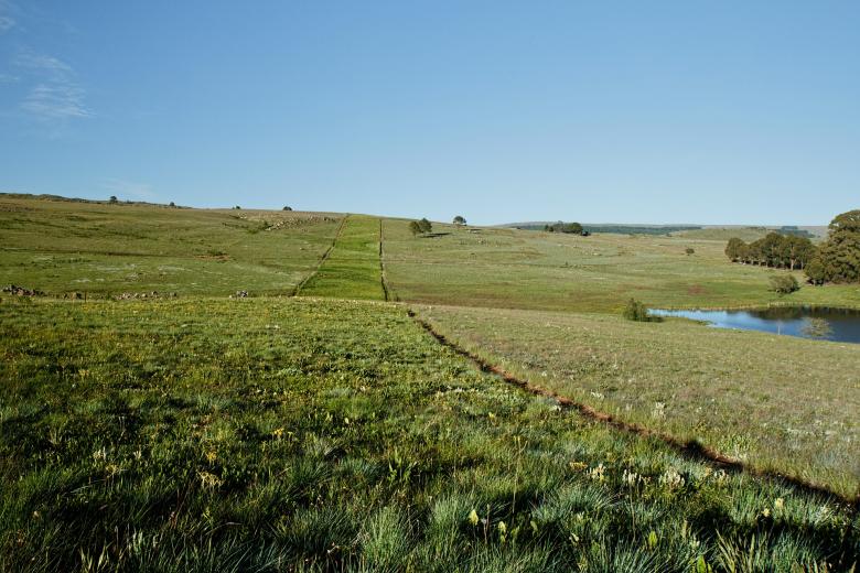 Free stock image of Grassy created by Pixabay