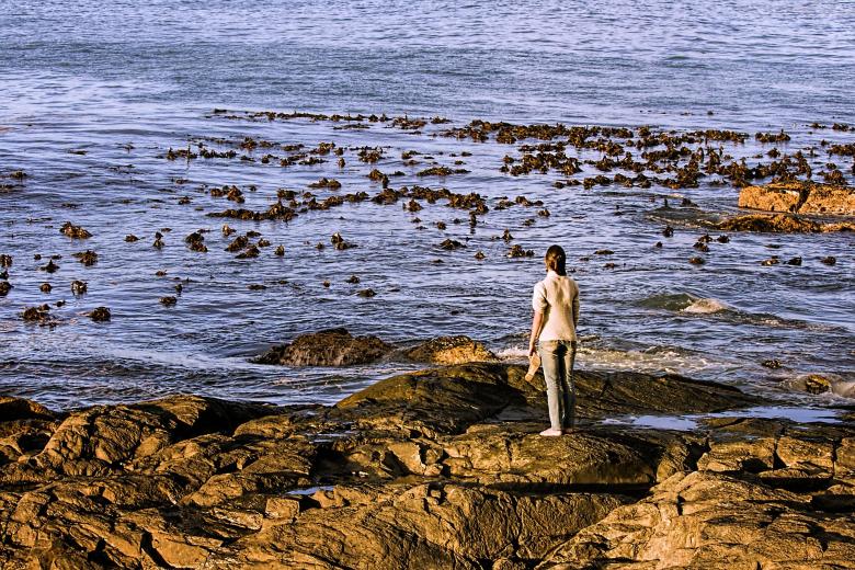 Free stock image of Lonely created by Pixabay
