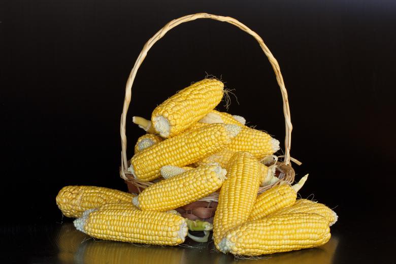 Free stock image of Maize created by Pixabay