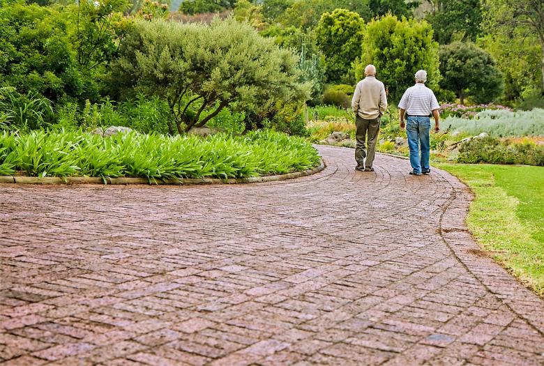 Free stock image of Old Friends created by Pixabay