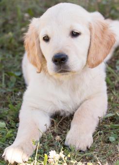 Cute - Free Stock Photo