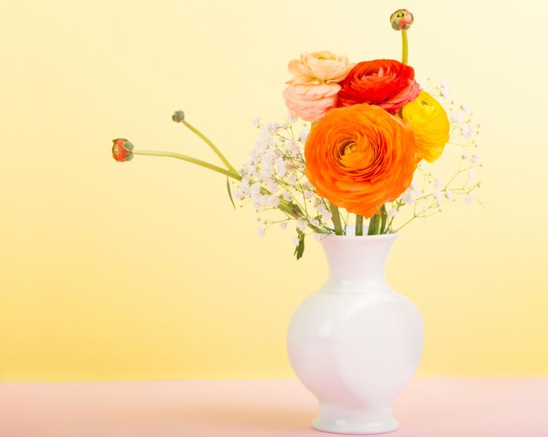 Free stock image of Fresh Flowers created by Pixabay