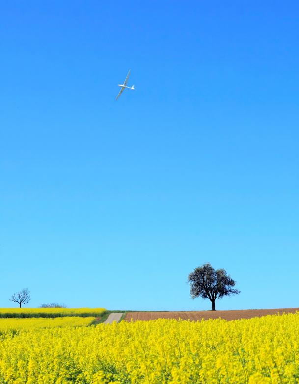 Free stock image of Colors of Nature created by Pixabay