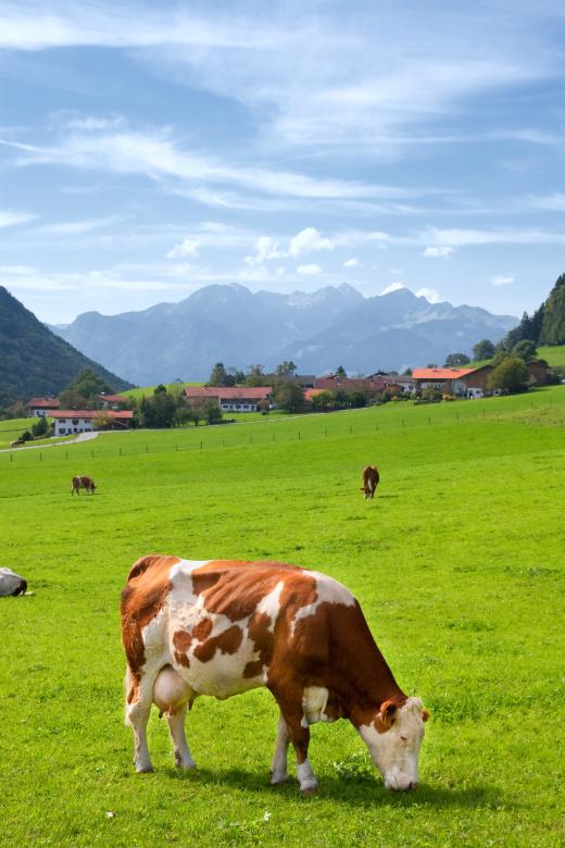 Free stock image of Upper Bavaria created by Pixabay