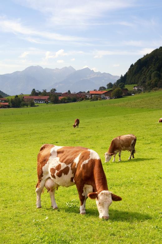 Free stock image of Upper Bavaria created by Pixabay