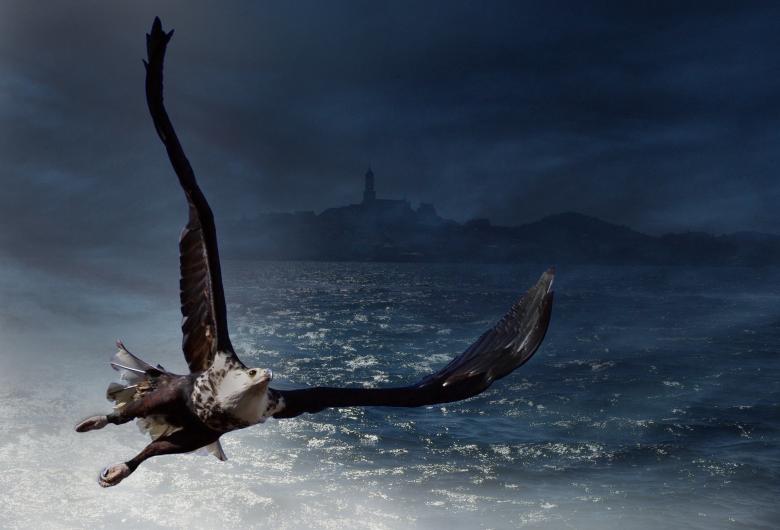 Free stock image of Eagle created by Pixabay