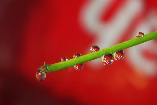 Free Stock Photo of Drops