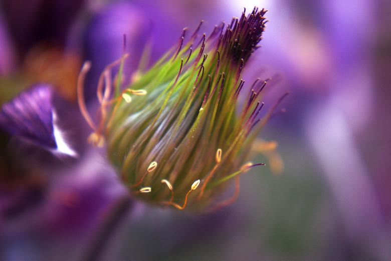 Free stock image of Nature created by Pixabay