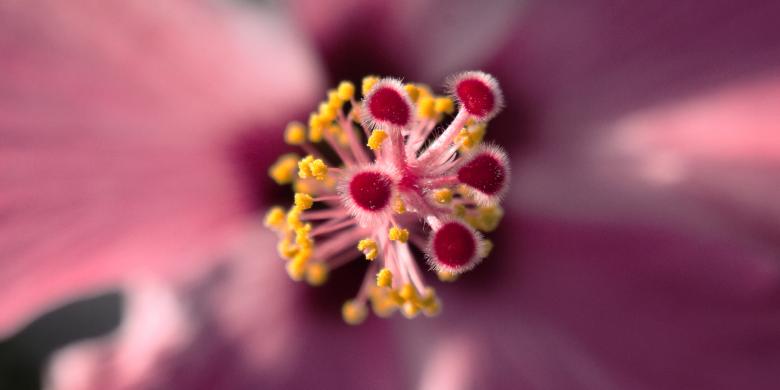 Free stock image of Fresh created by Pixabay