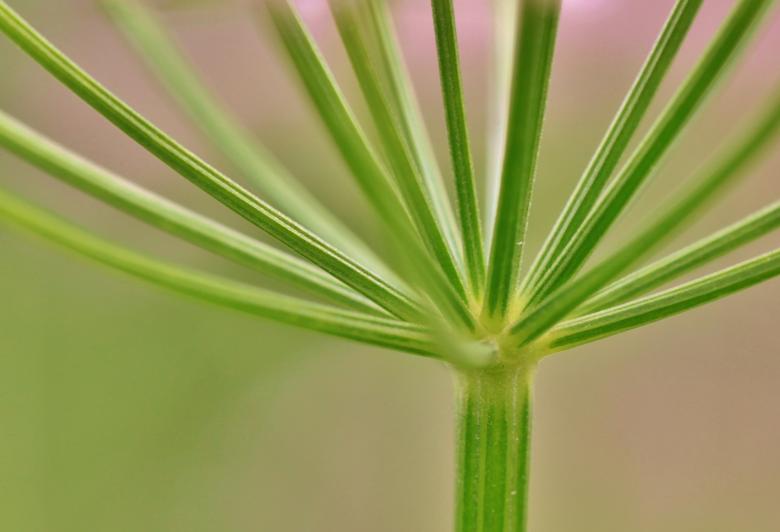 Free stock image of Screen created by Pixabay