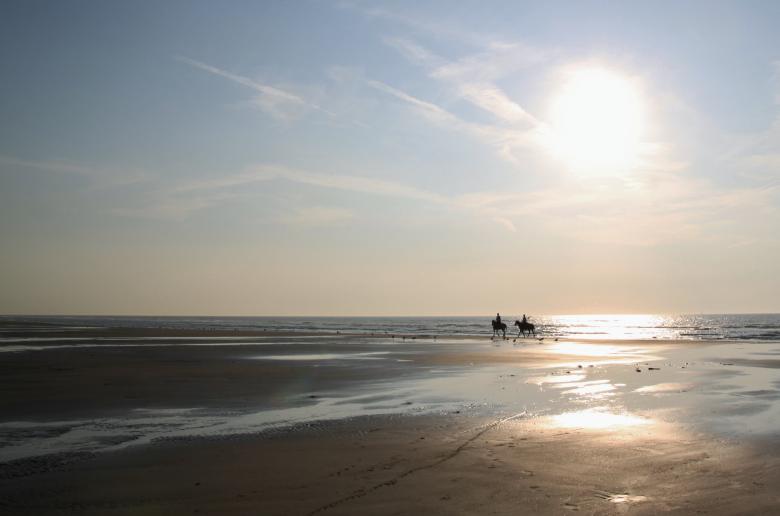 Free stock image of Riders created by Pixabay