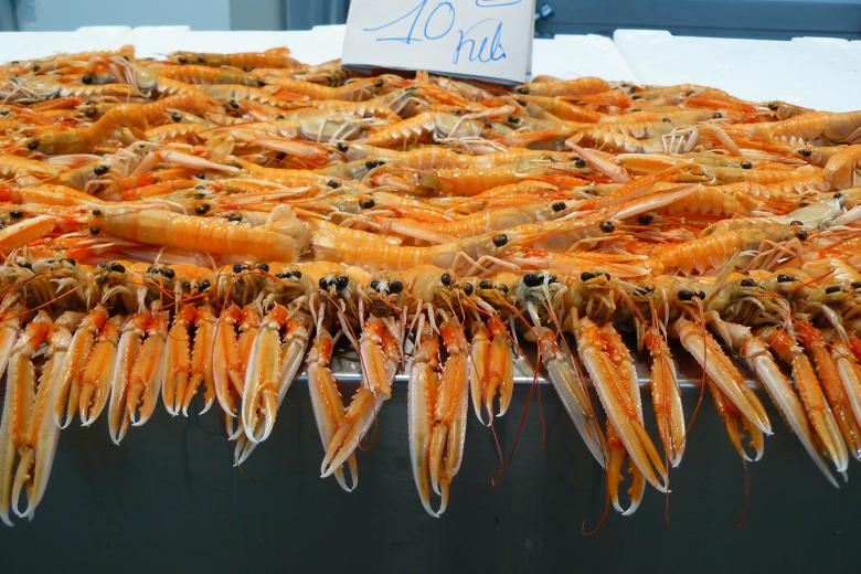Free stock image of Shrimp created by Pixabay