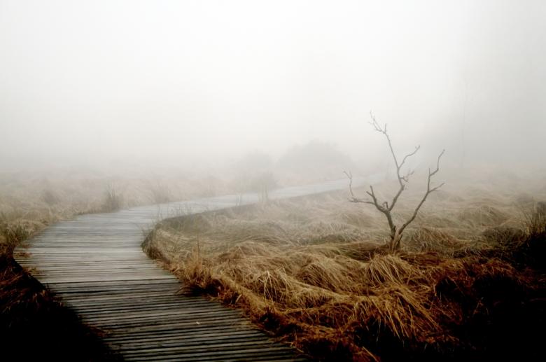 Free stock image of Pathway created by Pixabay