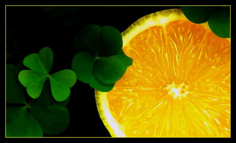 Free stock image of Orange created by Pixabay