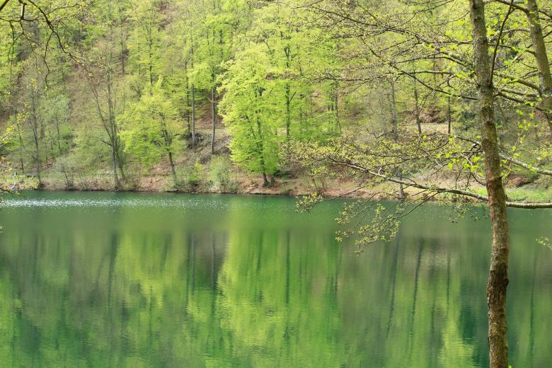 Free stock image of Lake created by Pixabay