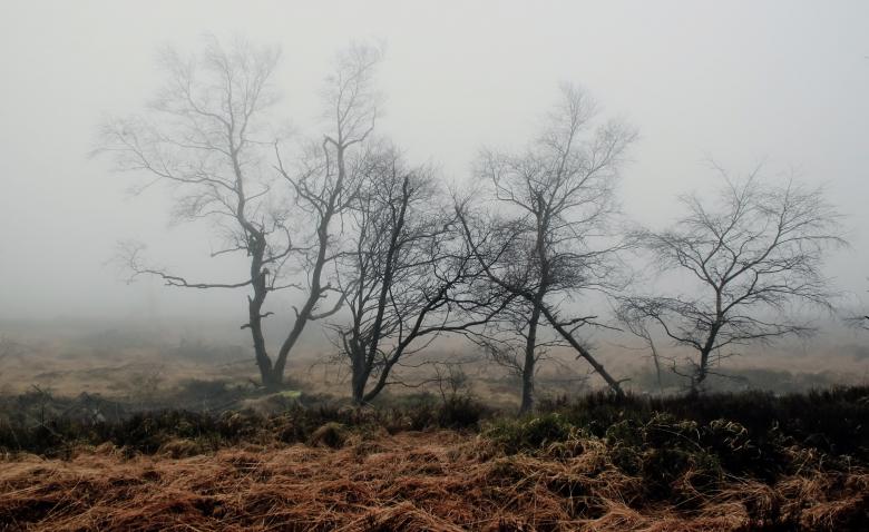 Free stock image of Foggy created by Pixabay