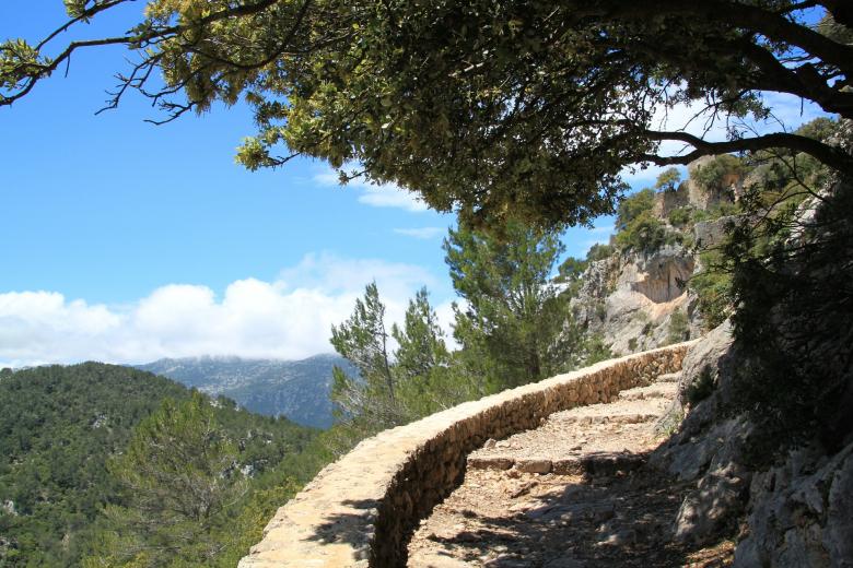 Free stock image of Trail created by Pixabay