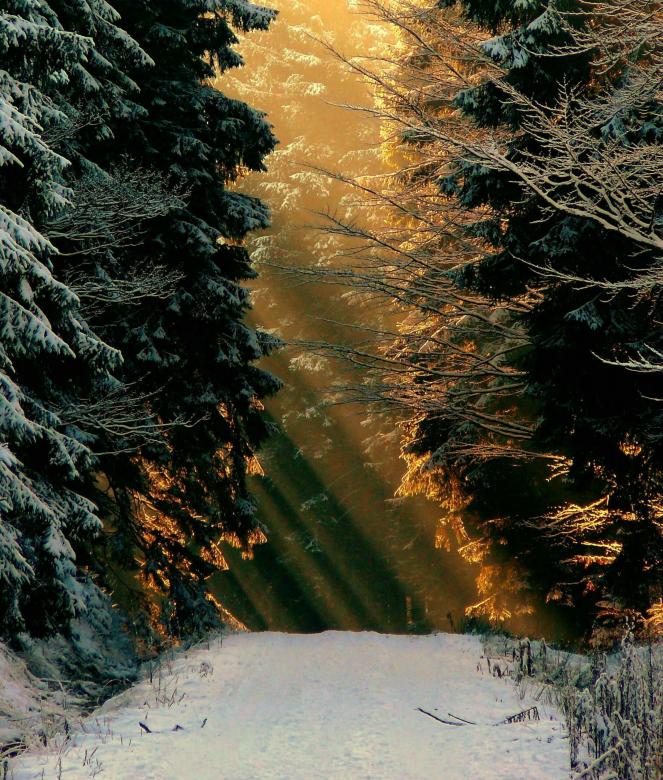 Free stock image of Winter created by Pixabay