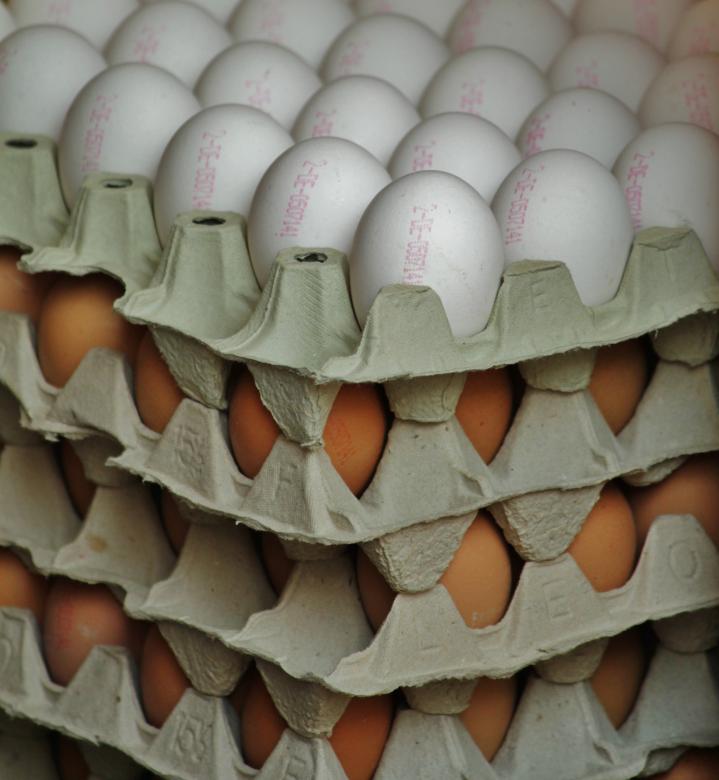 Free stock image of Eggs created by Pixabay