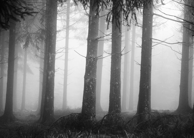 Free stock image of Fog created by Pixabay