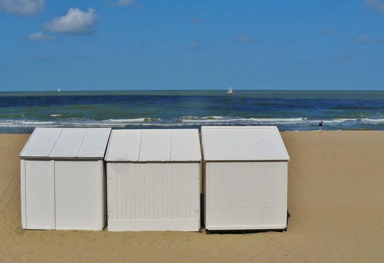 Free stock image of Beach created by Pixabay