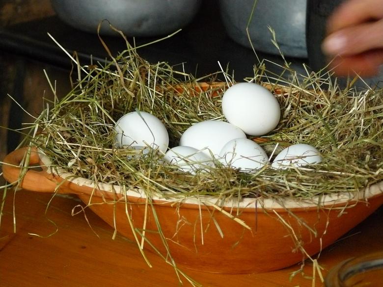 Free stock image of Eggs created by Pixabay