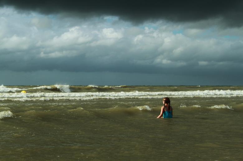 Free stock image of Taking a Swim created by Pixabay