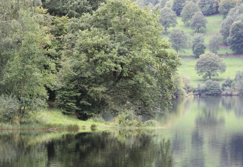 Free stock image of Lake created by Pixabay