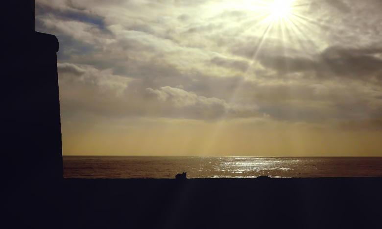 Free stock image of Sea created by Pixabay