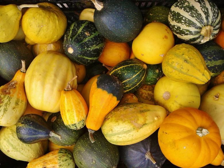 Free stock image of Gourd created by Pixabay